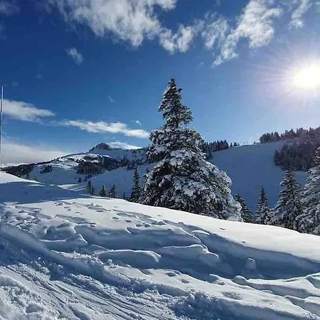 Beau Duplex T2 Au Calme : Un Petit Coin De Paradis Lejlighed