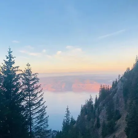 Lejlighed Beau Duplex T2 Au Calme : Un Petit Coin De Paradis *